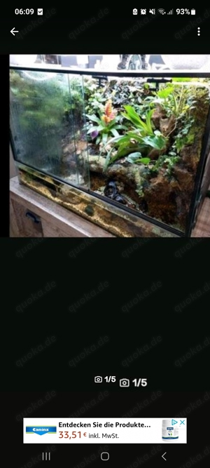 Paludarium Terrarium Aquarium Aquaterrarium