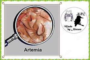 Artemia 90ml   1,70Euro   (18,89Euro  Liter)