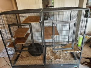 Degus mit Käfig suchen ein neues Zuhause