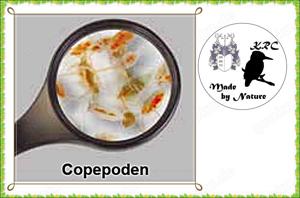 Lebende Marine Copepoden 90ml   1,70Euro (18,89Euro Liter)