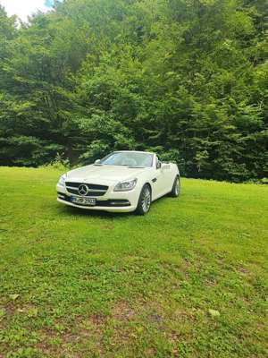 Mercedes-Benz SLK 200 SLK 200 (BlueEFFICIENCY) 7G-TRONIC CarbonLOOK Edit