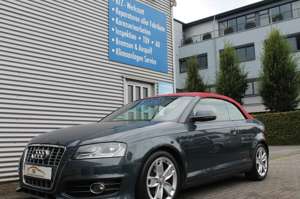 Audi A3 Cabrio Ambition, Leder ,Klima, Alufelgen, 2.Hand