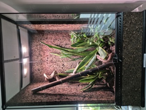 Exo Terrarium 90 h x 60 b x 45 t