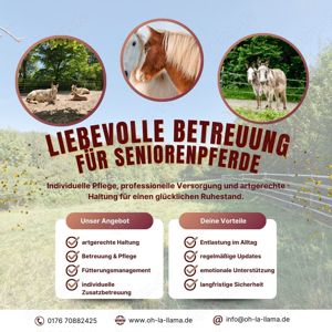 Biete liebevolle Betreuung für dein Seniprenpferd, Rentnerkoppel