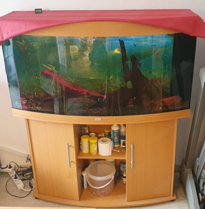 Aquarium Juwel VIsion 260 mit Unterschrank inkl. Zubehör