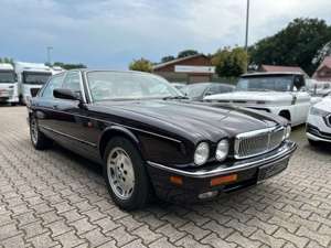 Jaguar XJ12 6.0 Automatik Limo*SHD*SHZ*LEDER*TEMP Bild 3