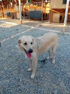 Ich bin Moyo - willst DU mich adoptieren? Bild 4