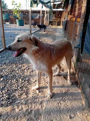 Ich bin Moyo - willst DU mich adoptieren? Bild 9