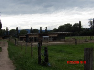 Offenstallplatz Offenstall Stall mit Auslauf, Weiden und 24h Heu