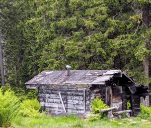 Garten mit Hütte (Strom,Wasser) gesucht 