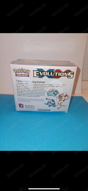 Pokemon Evolutions Display