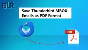 BLR MBOX Converter: Print or Export Thunderbird emails to PDF