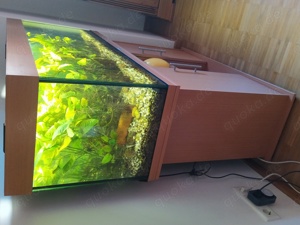 Aquarium 240L mit Unterschrank