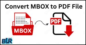 MBOX to PDF Converter Tool  