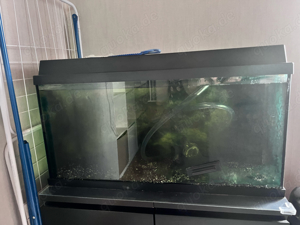 Aquarium 100 l mit zübehör