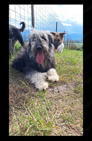 Helene will endlich das Shelter verlassen