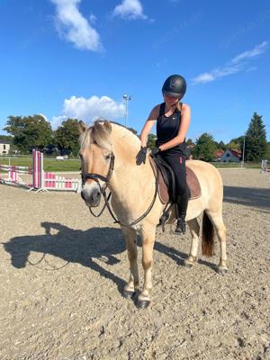 Reitbeteiligung - Reiter sucht Pferd