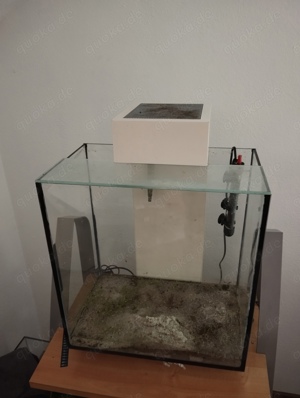 Fluval Edge Aquariun