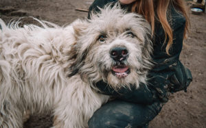 Bärchen: sein Name ist Programm