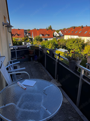 Balkon katzensicher machen