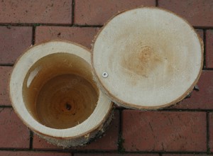 6 Naturstamm Nisthöhlen für Wellensittiche Bild 4