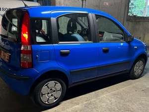 Fiat Panda Panda 1.2 Alessi