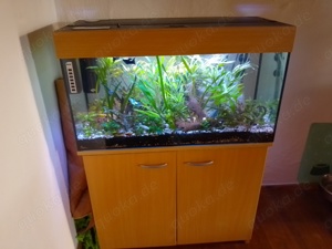 Aquarium komplett 