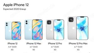 iPhone 12  Pro Max Neu Display & Displayschutz (Reparatur möglich)