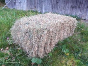 Kleine Heuballen - Schinderballen - Heu