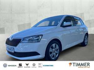 Skoda Fabia III 1.0 COOL  SOUND *SITZHZG *CLIMA *DAB *