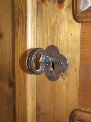 Bauernschrank (Nr.592) Voglauer Anno 1600 Fichte Bild 5