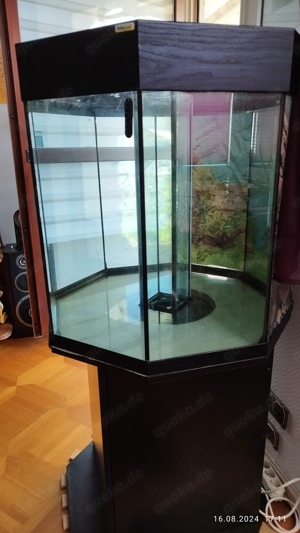 Aquarium 8 eckig mit Unterschrank 280 Liter 