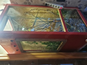 Terrarium NEU muss dringend weg 