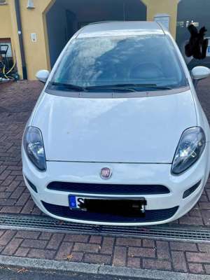 Fiat Punto More