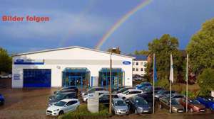 Ford Fiesta ST-Line*Autom*Winterp.*PDC*Teilleder*