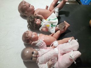 Schildkröte,Steif Schweine,Göbel,Schucco, und andere