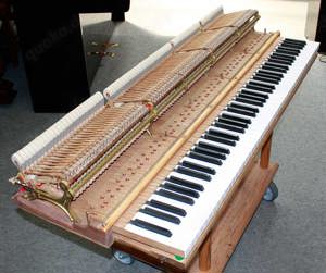 Flügel Klavier Steinway & Sons M-170, schwarz poliert, restauriert Bild 9