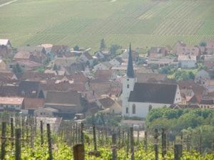 Gelegenheit: Bauplatz im Weinort Nordheim a Main zu verkaufen