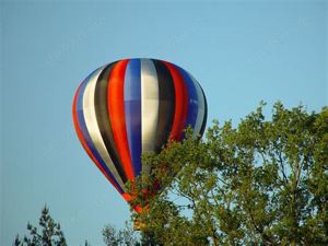 Brandenburg von oben, das  Erlebnis pur per Heißluftballon Bild 4