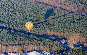 Brandenburg von oben, das  Erlebnis pur per Heißluftballon Bild 6