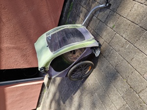 Burley D Lite Double Kinder Fahrrad Anhänger 