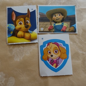 Aldi Paw Patrol Sammelsticker Mission Sammelspass Bild 4