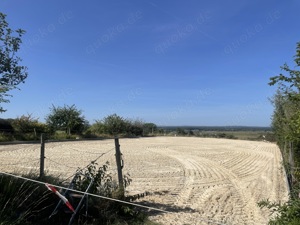 Große Paddockbox in 64823  Bild 10