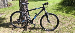 Herren Mountainbike 26"