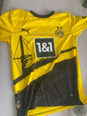 Dortmund Trikot 23 24