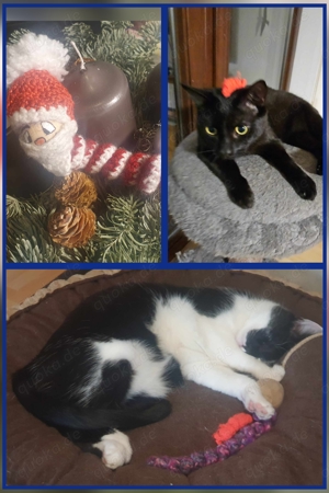 Einschulung Glückswürmchen Handgearbeitet 