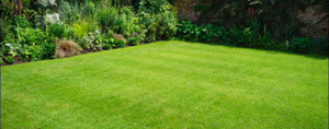 Gartenarbeit - Rasenmähen, Hecke Schneiden, Grünschnitt und mehr