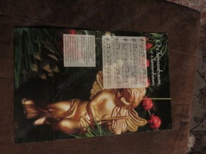 Weihnachtskarte zum aufklappen zu verschenken