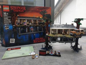 Lego Stranger Things 75810