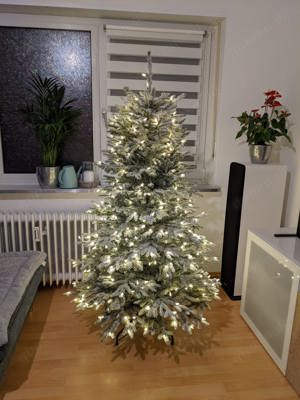 Weihnachtsbaum